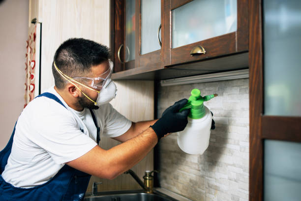 Best Pest Removal Services  in Naugatuck, CT