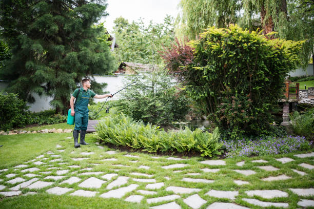 Best Local Pest Control Services  in Naugatuck, CT