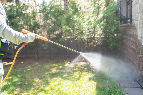 Best Spider Control Near Me  in Naugatuck, CT