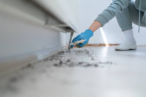 Best Pest Removal Services  in Naugatuck, CT